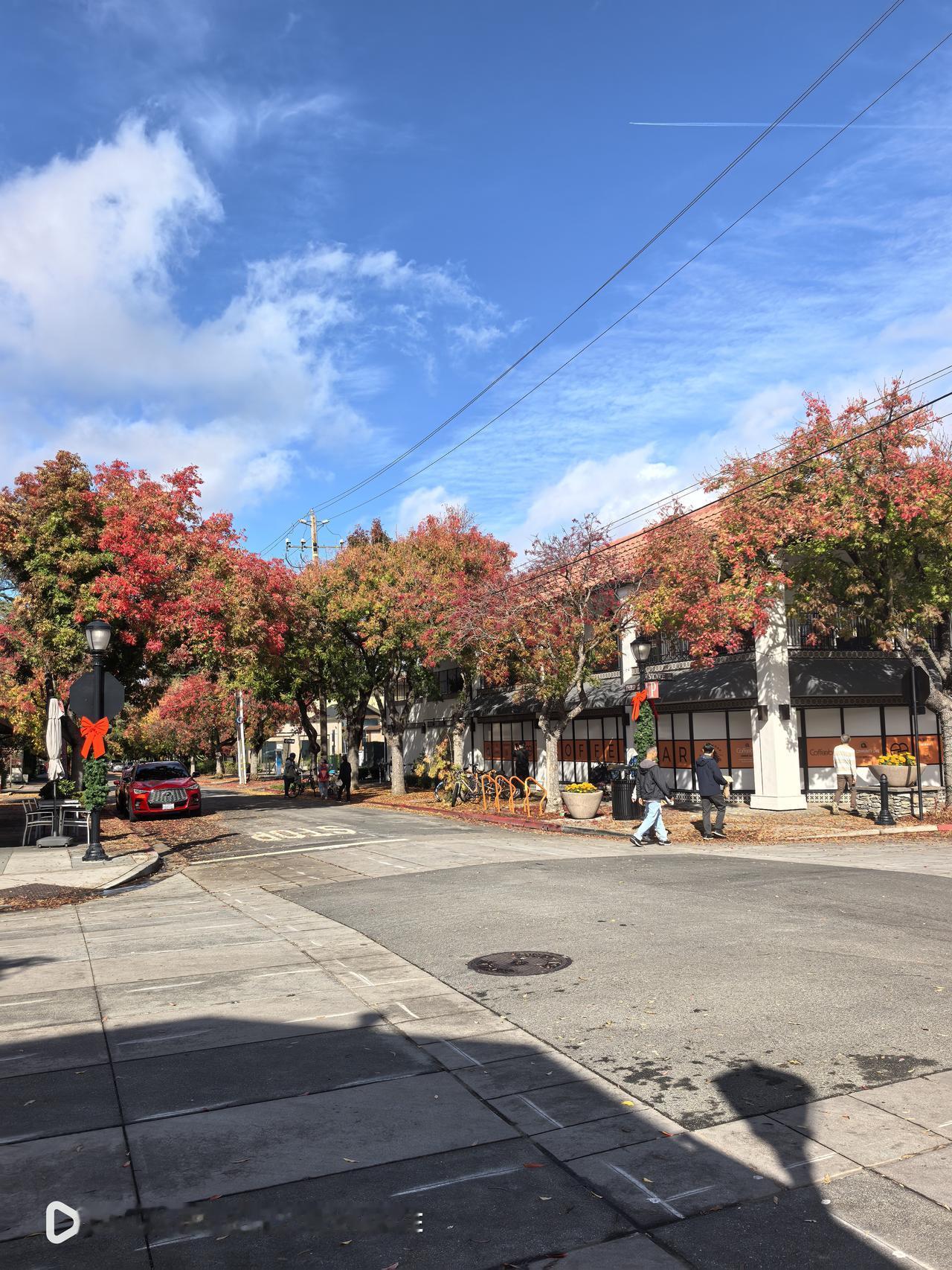 硅谷洛斯阿图斯（LosAltos）秋天很美。洛斯阿图斯小镇，