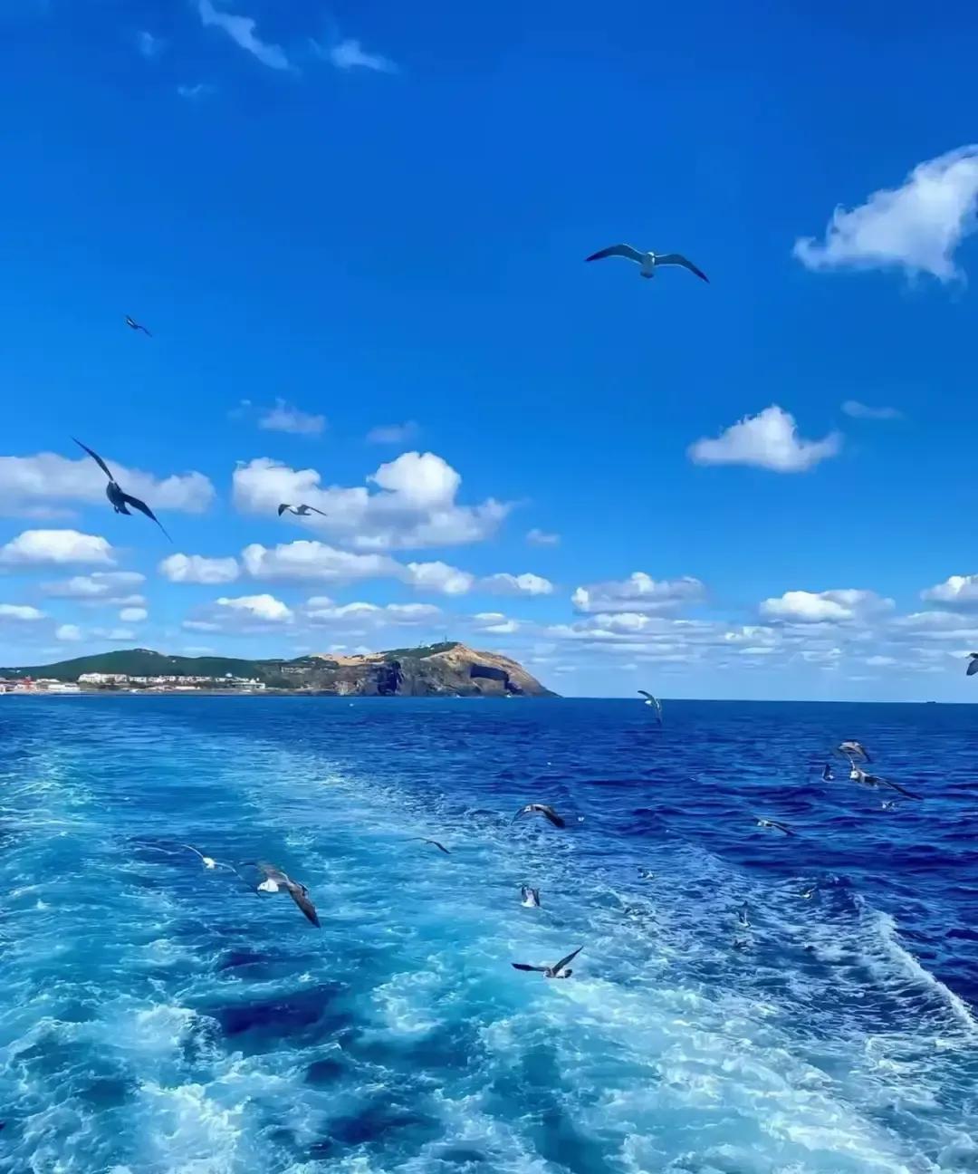 双鱼不联系不是高冷是电量见底。刷到热搜那天我盯着手机屏保里两条鱼发呆，突然明白