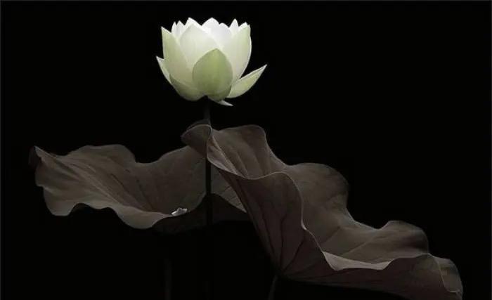 记得曾仕强先生说过：“很多事情要学会耐心等待，曲则圆，委屈才能求全。”这句教