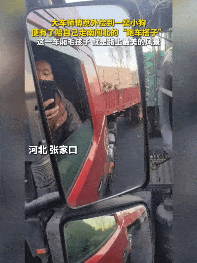 河北张家口的货车师傅怎么也没想到，去年路边捡的几个小毛球，如今成了他跑南闯北的“