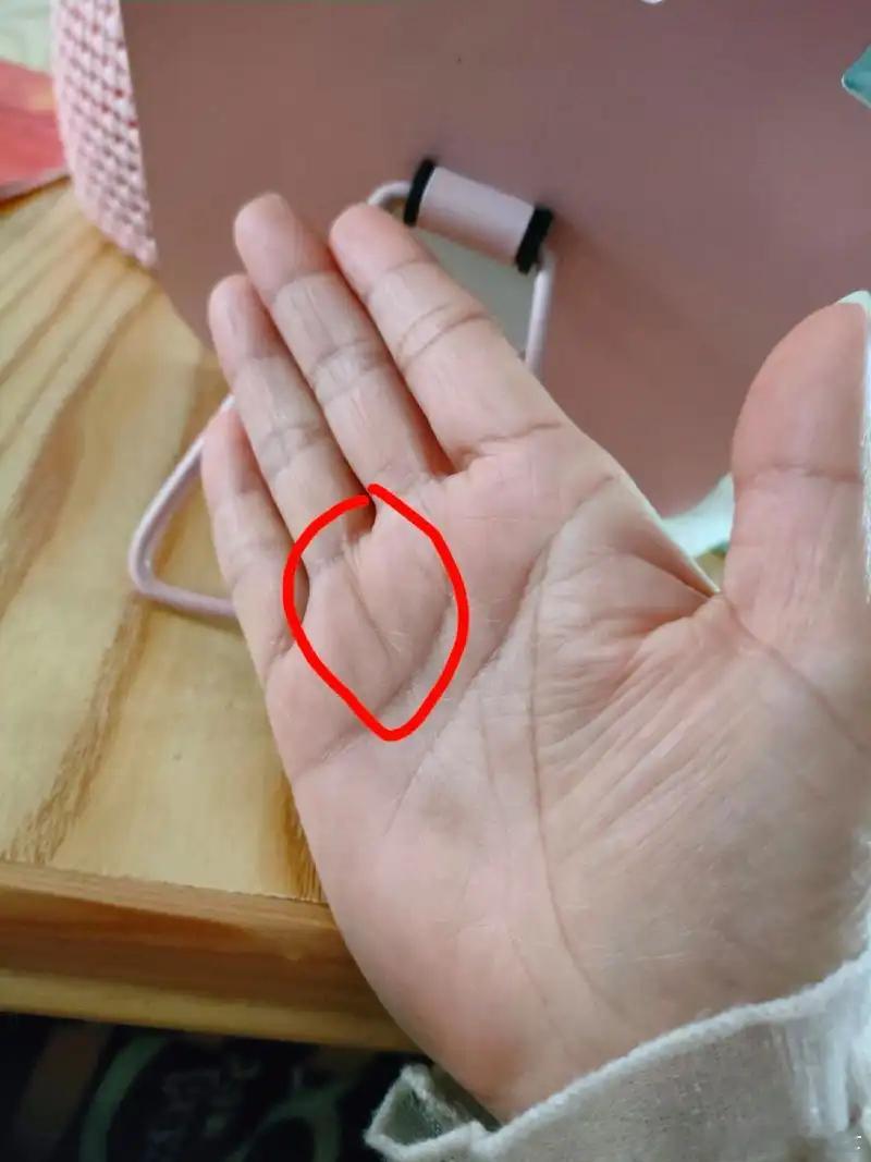 中年财运的手相；无名指下的成功线。这种成功性往往随着年龄的增长而出现，说明年轻的