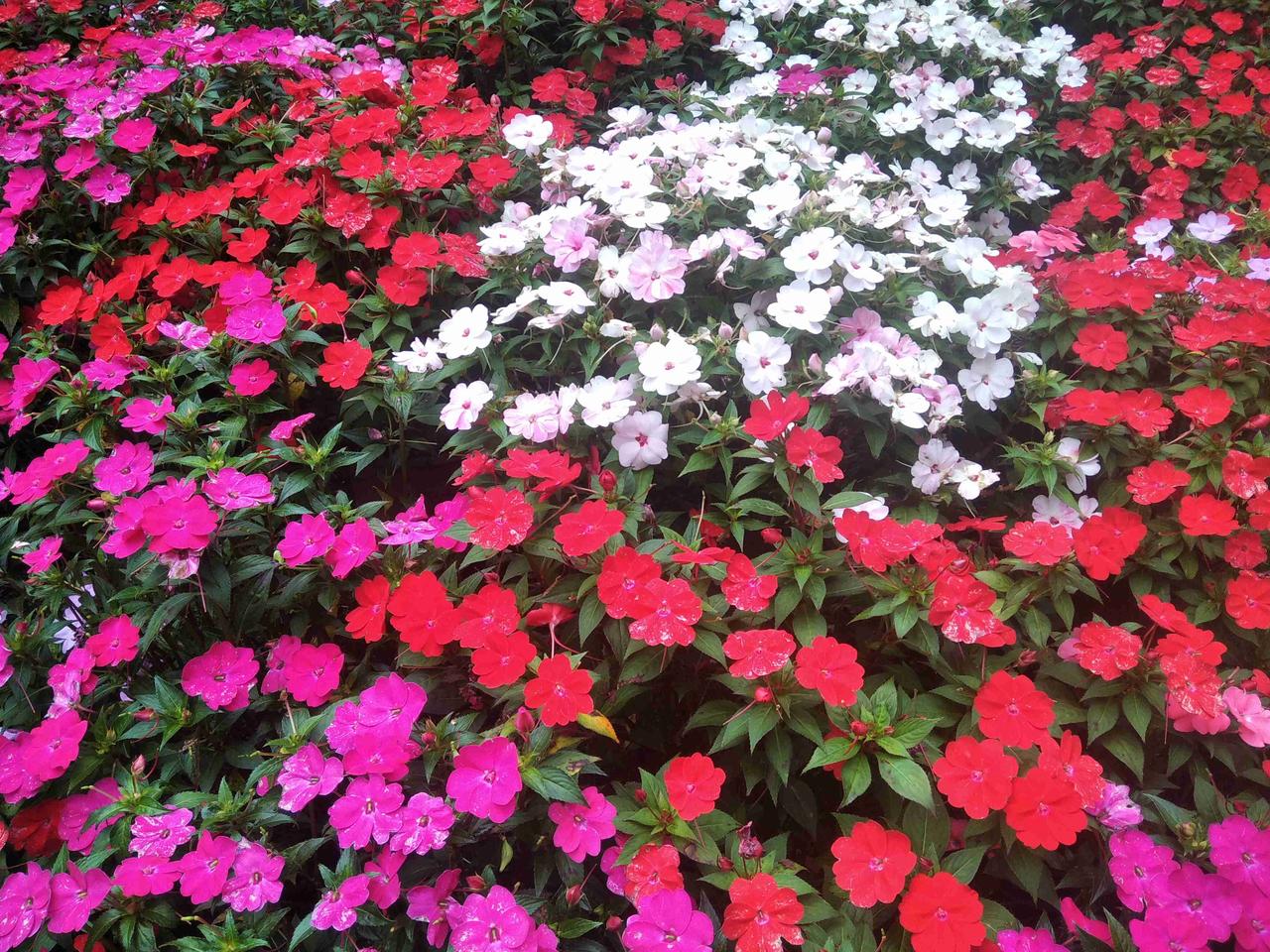 今日又是期待暴富的一天带定位晒今日生活我的今日状态：💰期待暴富我这里的天