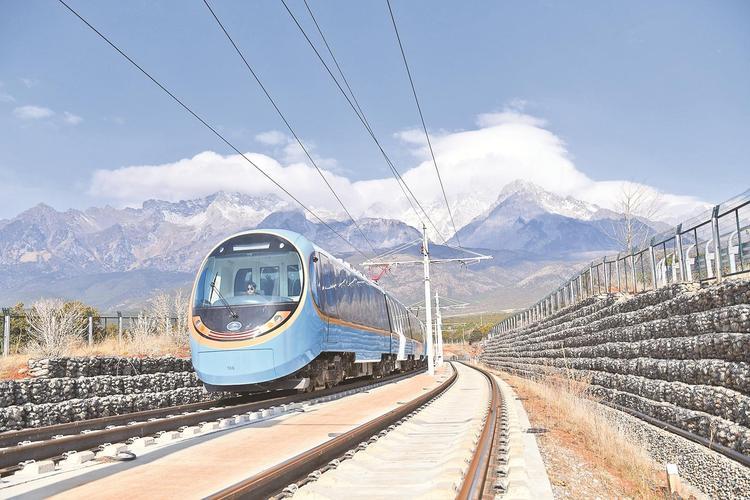 等40多年的天鹅终于飞眼前！这趟列车24站解锁200+景区，太懂中国人的浪漫。