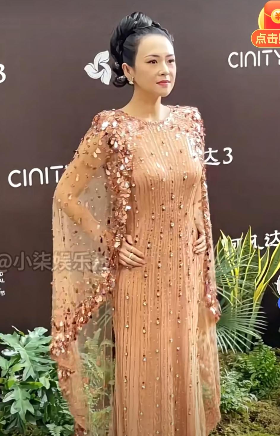 章子怡造型“翻车”！网友纷纷吐槽：这衣服像蚊帐，发型宛如天津大妈的盘头。章子