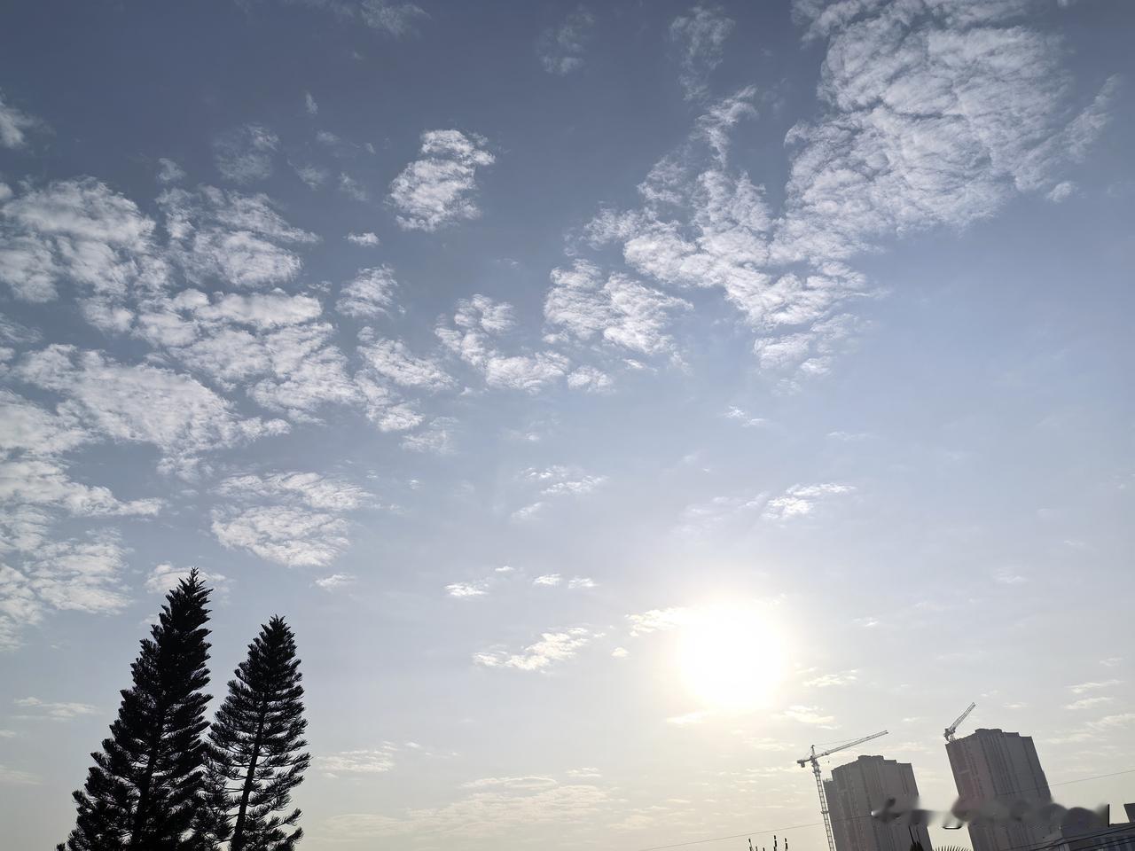 升温啦！升温啦！春节前广东迎大回暖！今天（11日），广东中西部市县阴天，部分