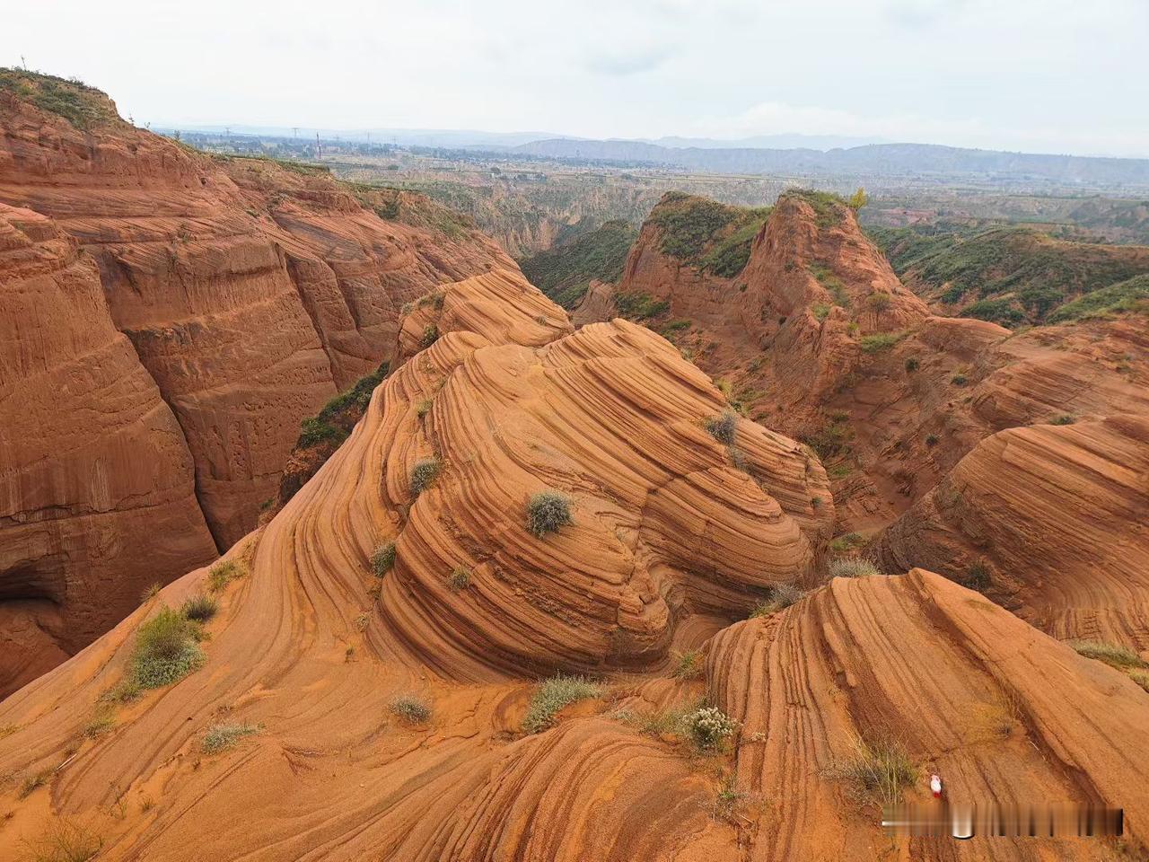 你们发现没有，现在大部分单位都已经烂透了，这些烂透的单位差不多都有一个共同的价值