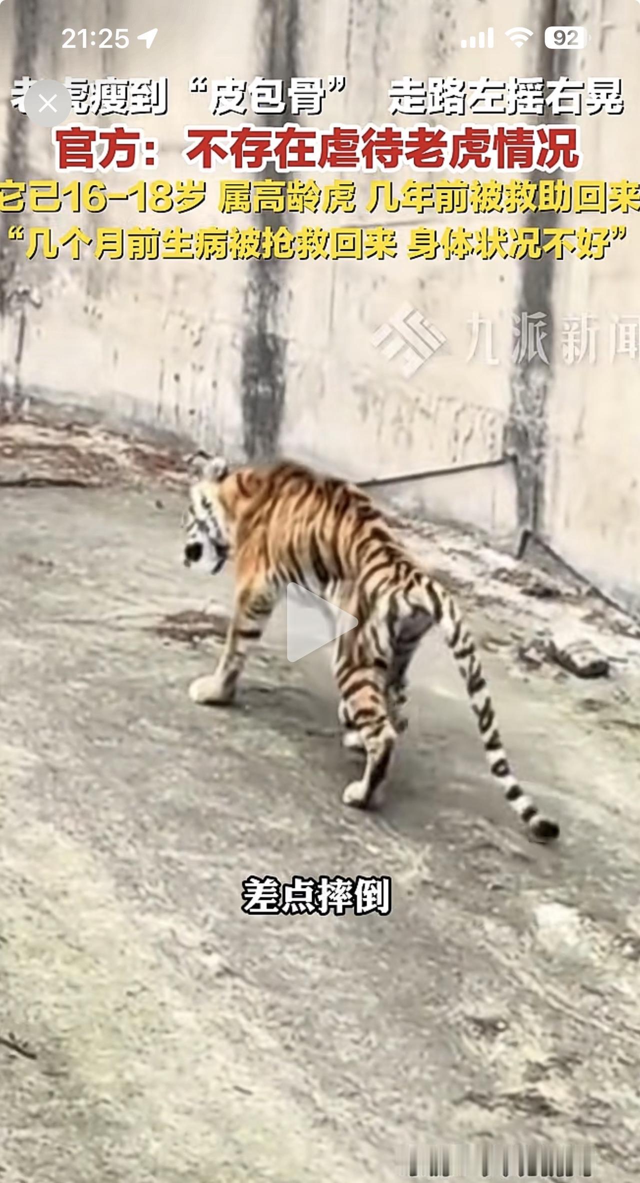 网友拍到四川隆昌市一动物园的老虎骨瘦如柴，走路东倒西歪，没有一点虎威！园方回