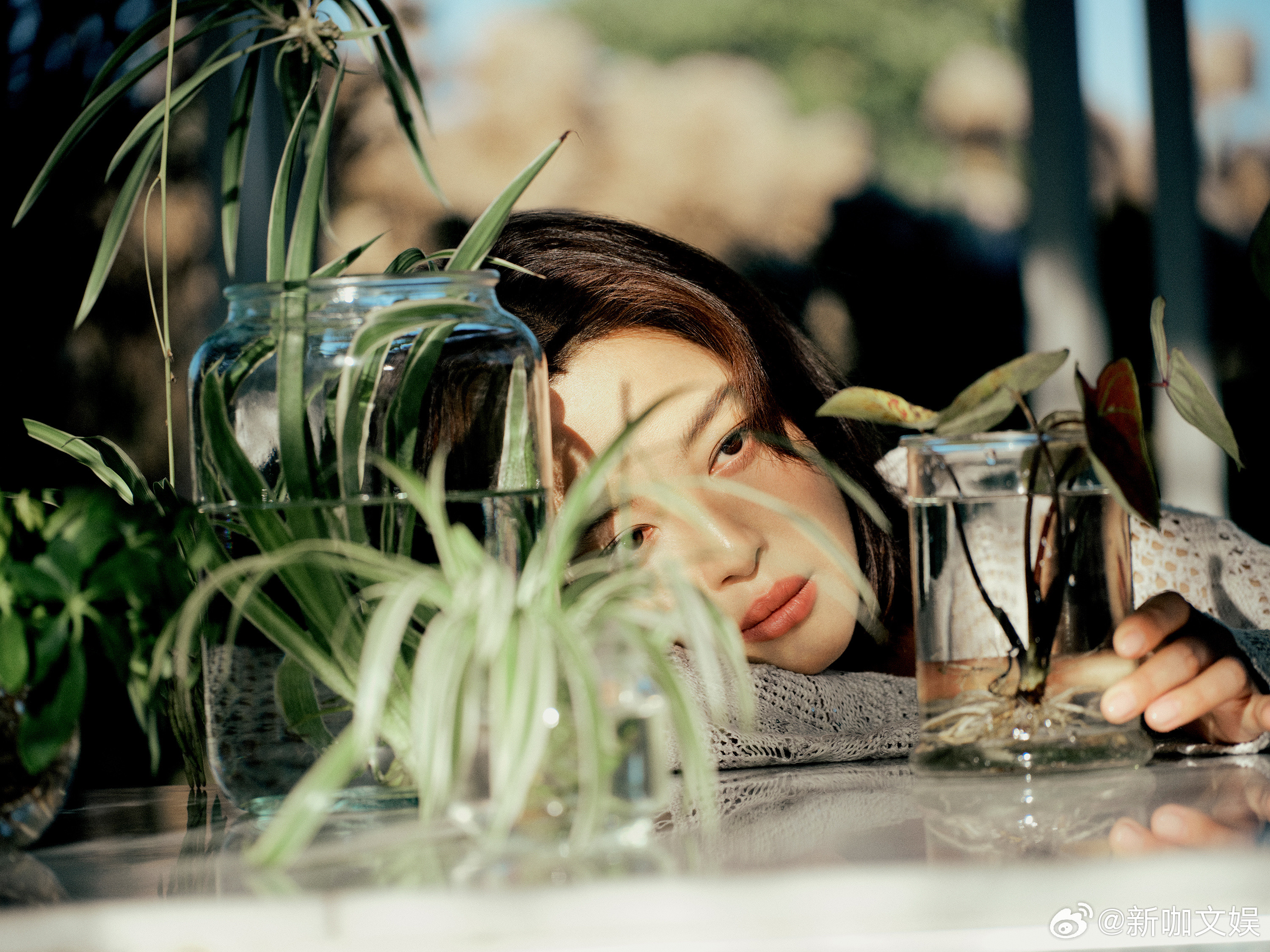 辛芷蕾野生感生命力辛芷蕾野生感大片辛芷蕾的野生感大片诠释了极致的生长之美，眉眼