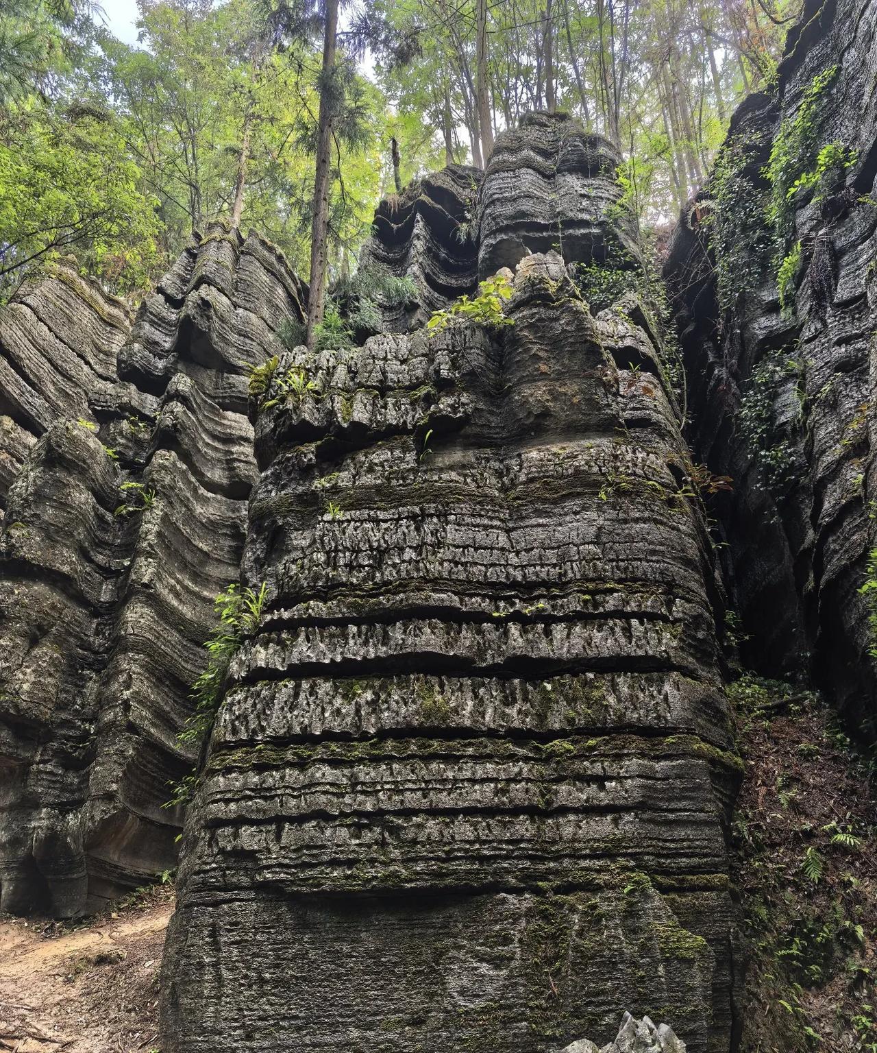 到恩施第四天，离开城区跑了两个地方，腾龙洞和梭布垭石林，总体感觉很一般。利川腾