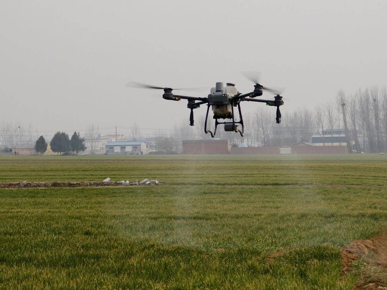 火焰高温消灭了植物和土地中的病虫害，烟雾也相当于驱虫，在欧美农业先进的国家，如美