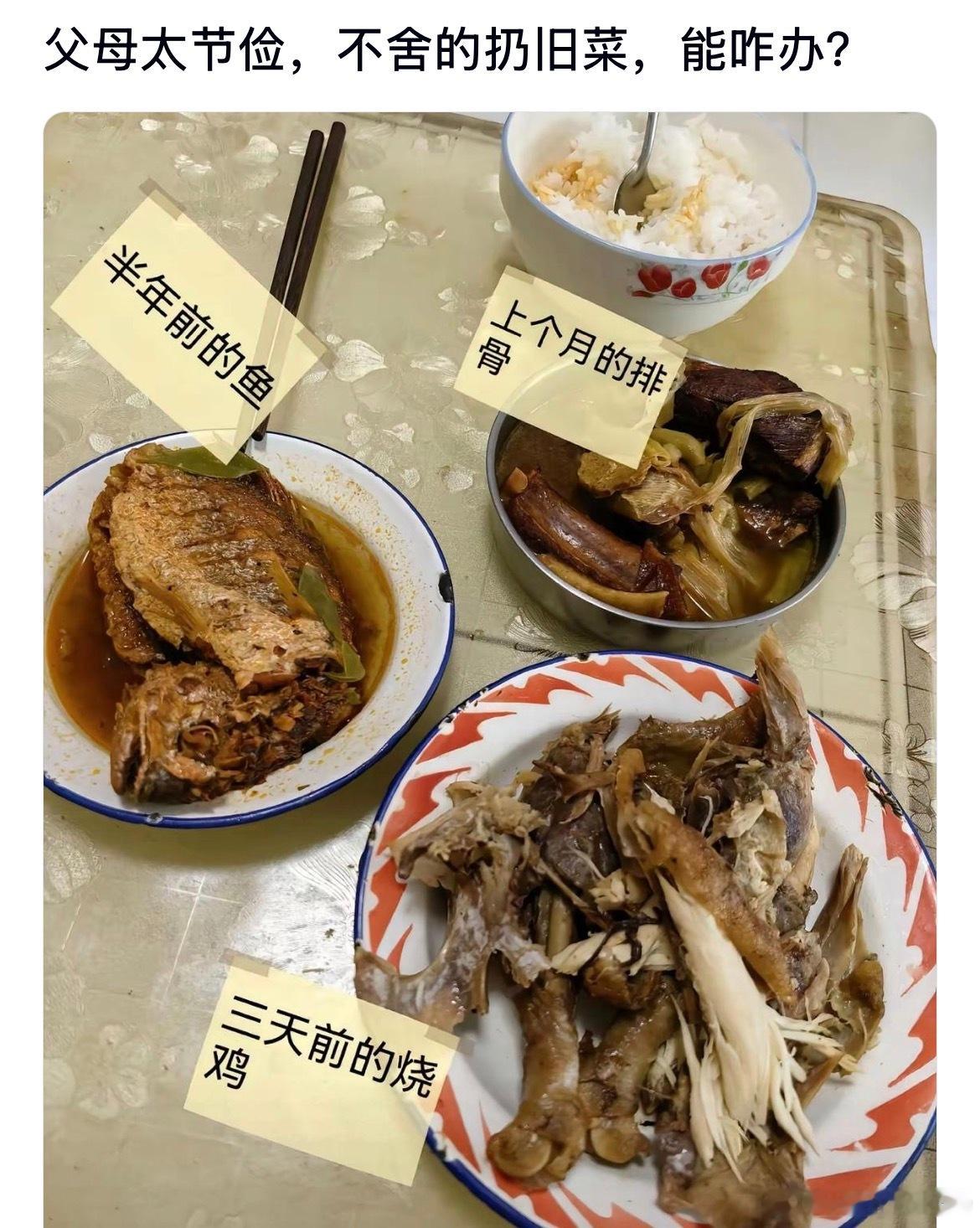 父母要是太节俭不舍得扔旧菜，能咋办呢​​​