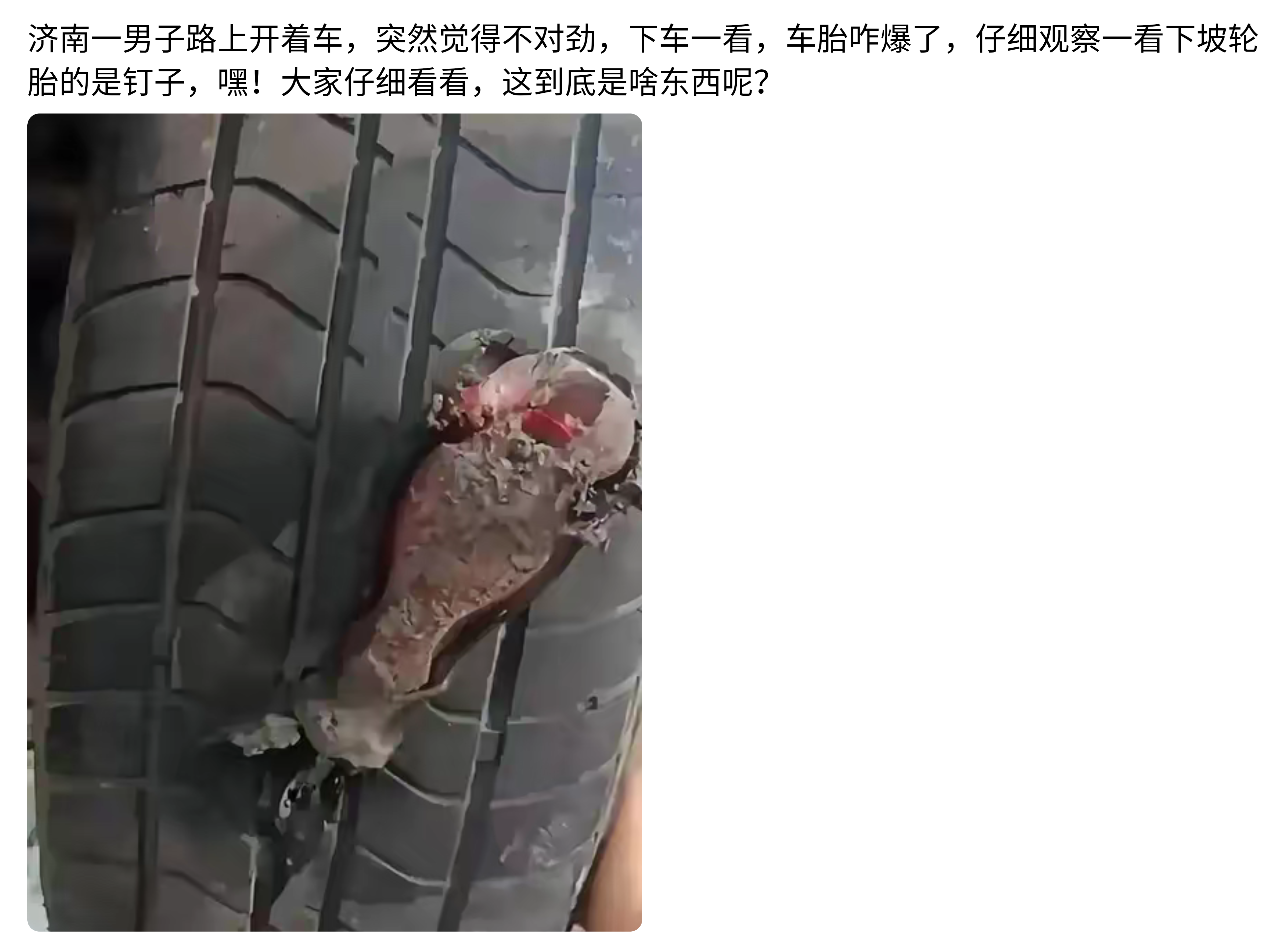 看了半天也没认出来是啥，有人知道吗？