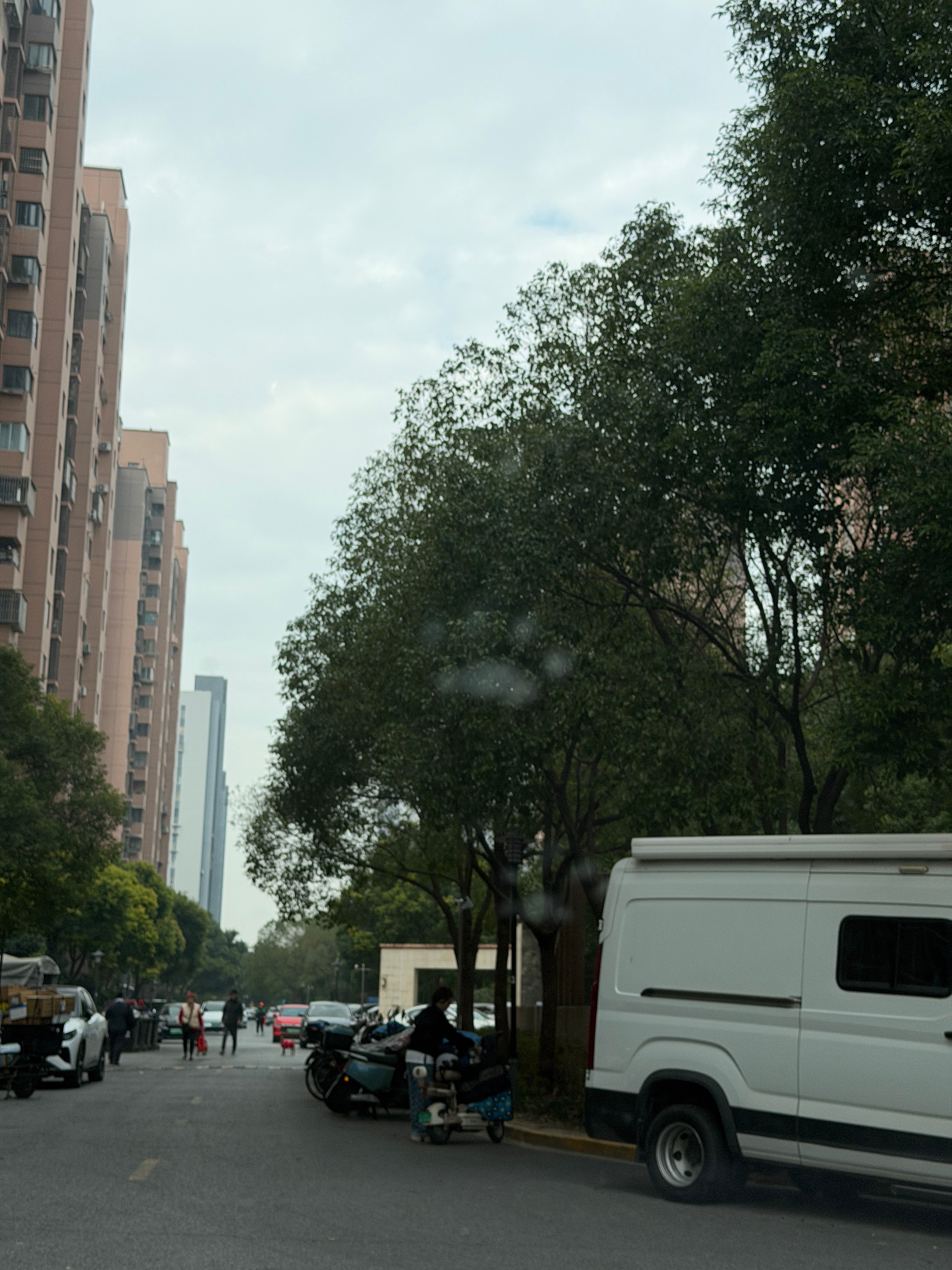 这天这小咪咪可咋过冬啊