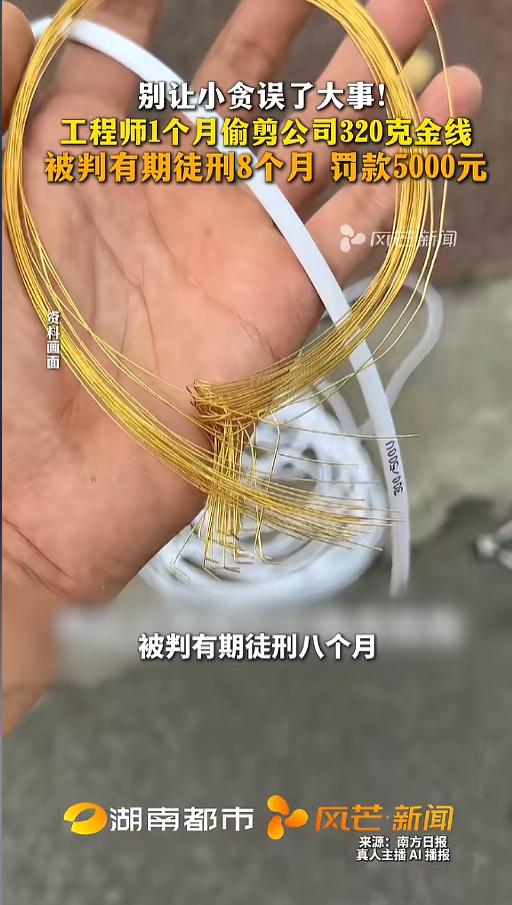 “胆子太大了！”5月2日报道，福建厦门，当地检察机关公布了一起案例。一工程师利用
