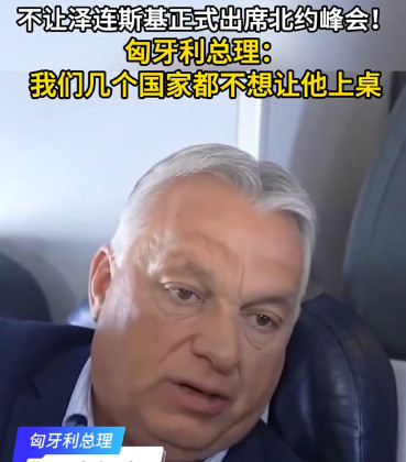 泽连斯基被北约嫌弃天呐，这脸打得，简直是啪啪响！北约峰会