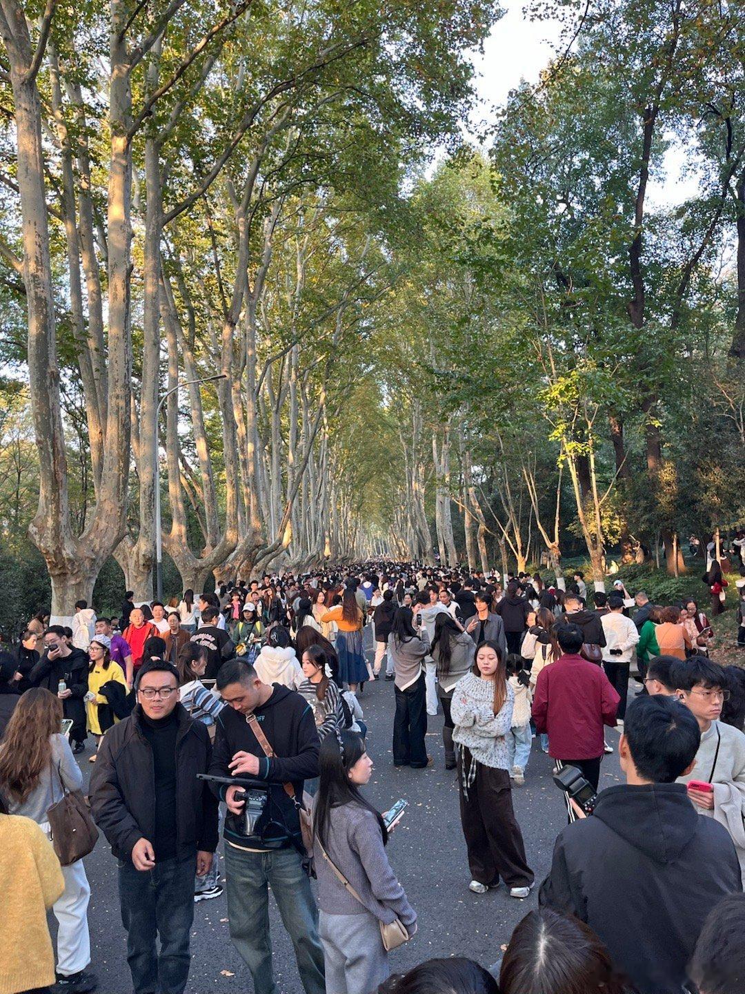 差不多两三年没走过【陵园路】了，只知道它火，没想到它火成这个样子。确实没法儿走