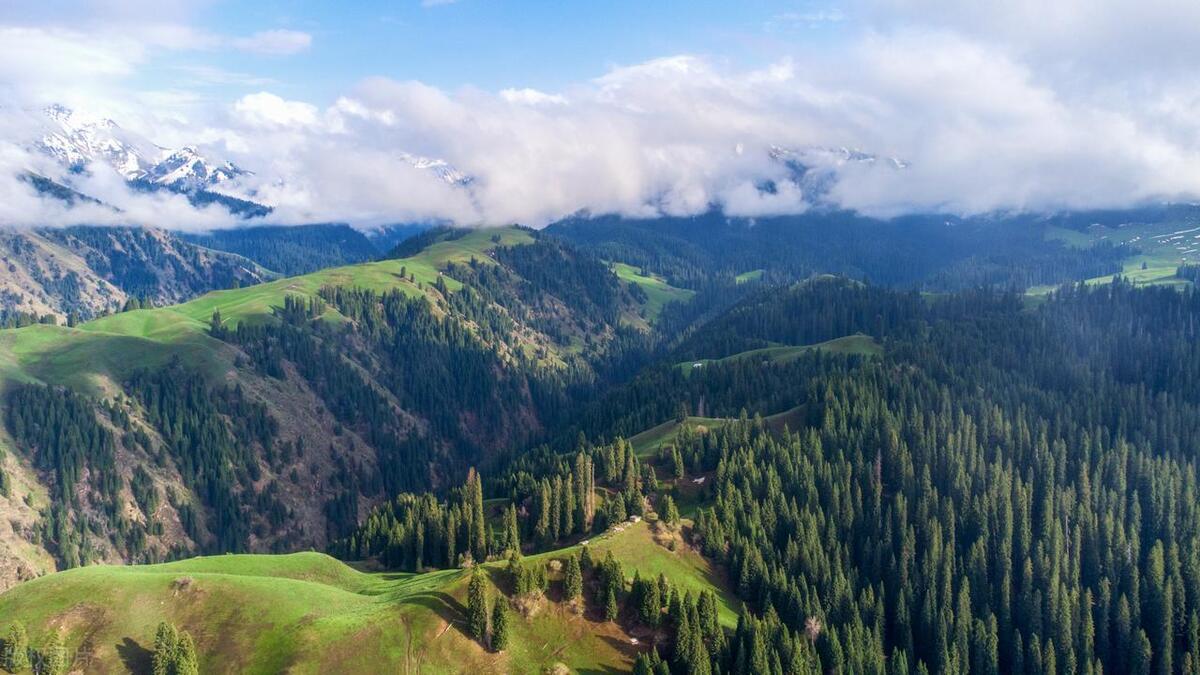 5月-6月错峰旅游,7大目的地,优质风景,不等暑期,错峰去看
