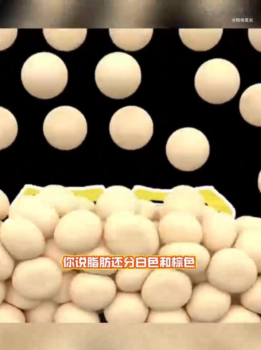 提到脂肪，大家第一反应肯定是“让人长胖的坏东西”，但其实脂肪家族里藏着个“健康卫