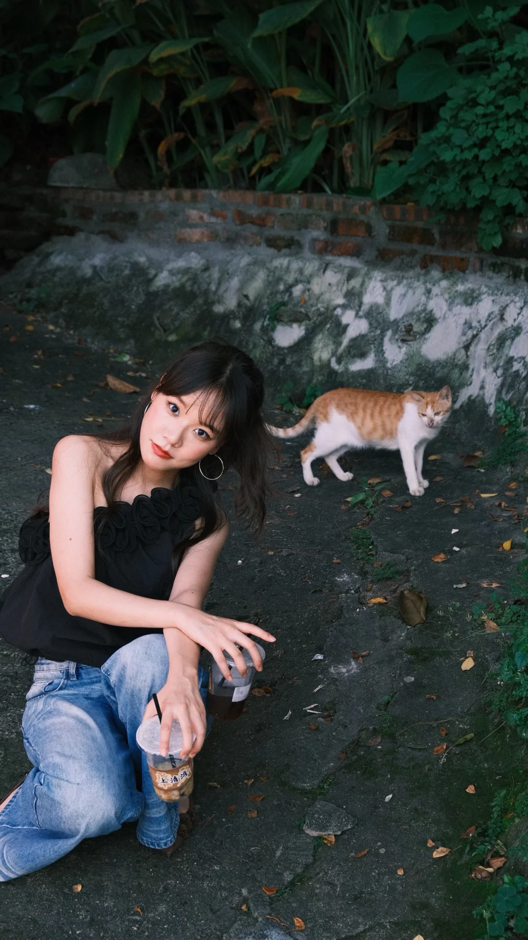 走到哪里都会遇到猫猫