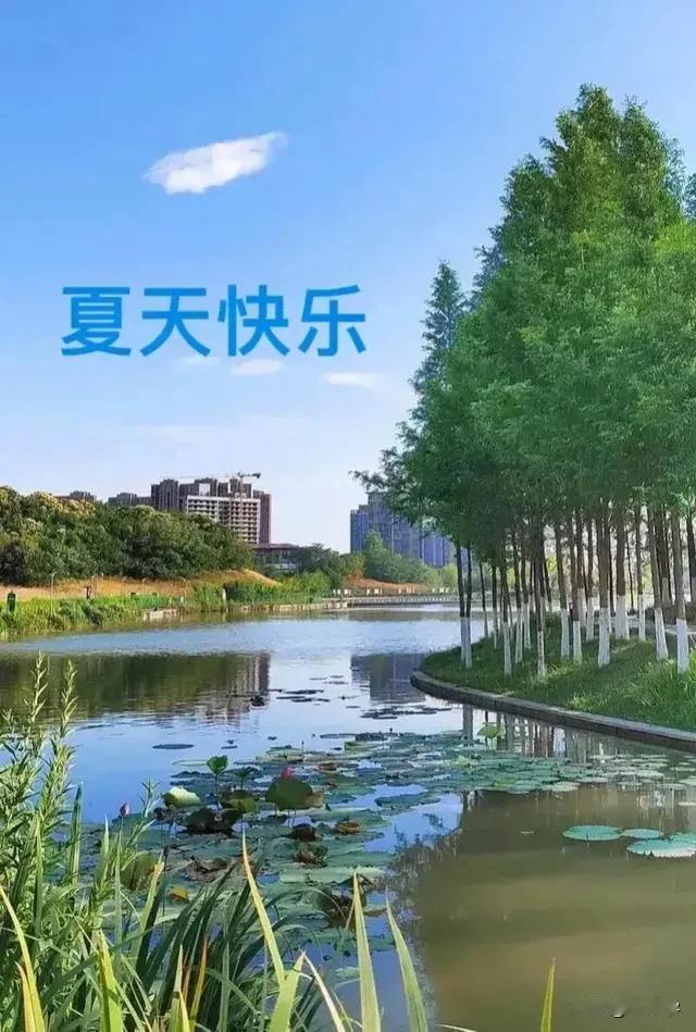 首发原创/刘忠学七律：随笔醉诗美于无与比，醉花美在千姿里。醉美季节红五月，