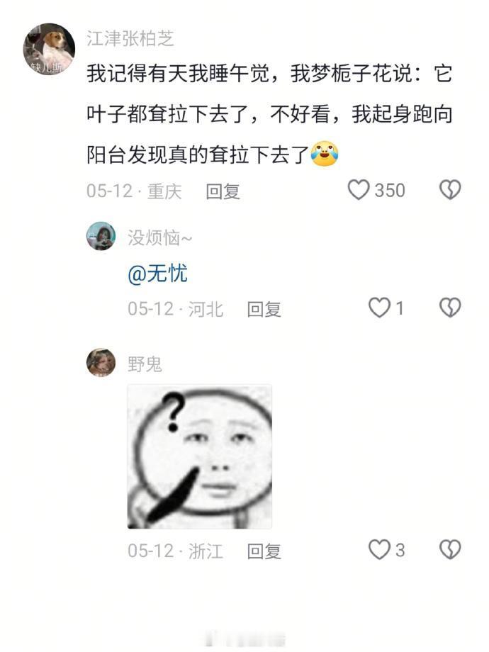 番茄：我重生了!我嘞个万物皆有灵​​​