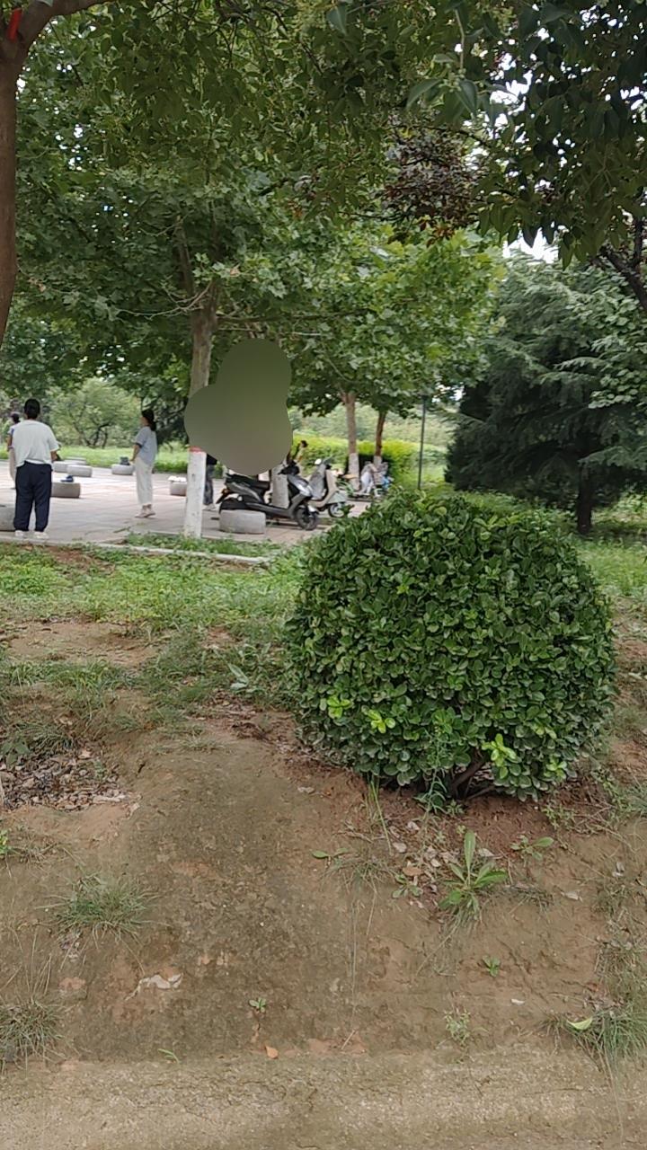 公园里，大妈们在做拍手操。我要不要加入？快帮我决定，一会大妈们就要回家做饭