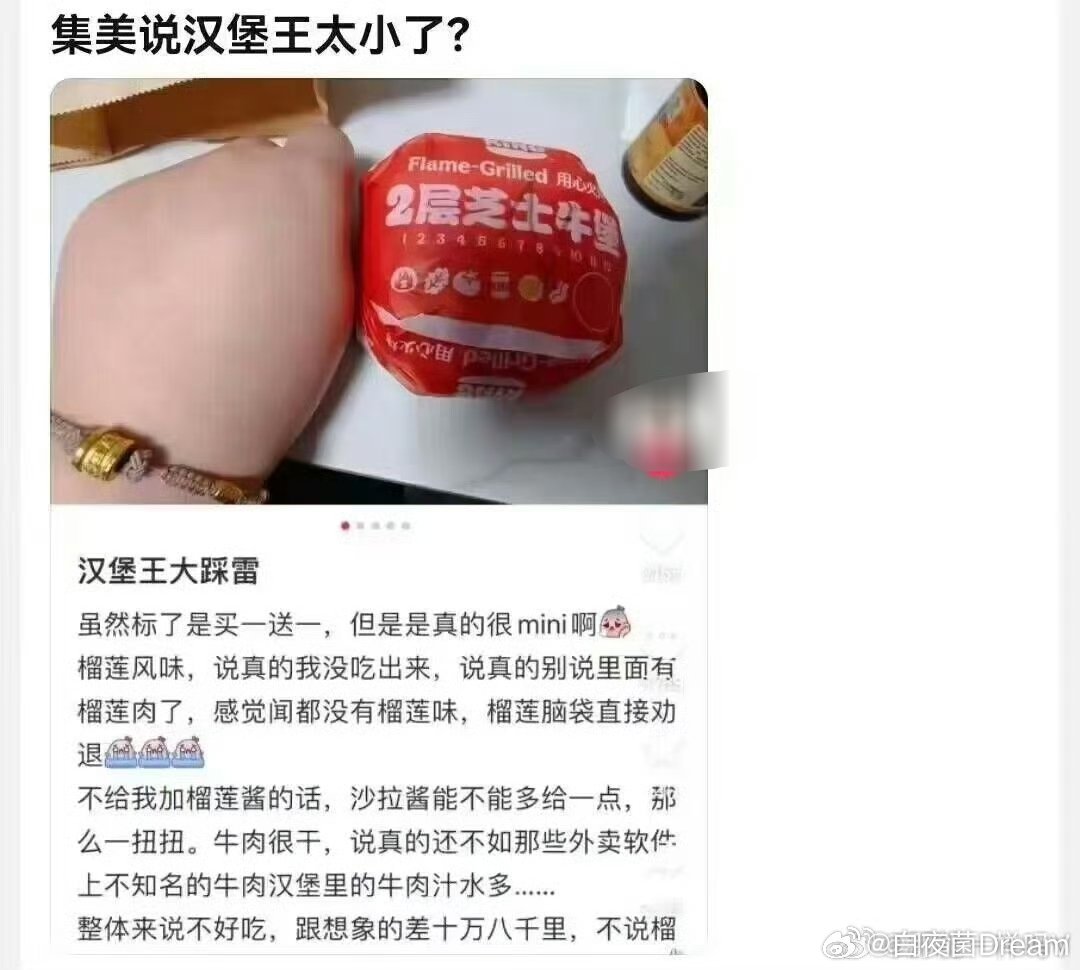 重新定义了汉堡太小