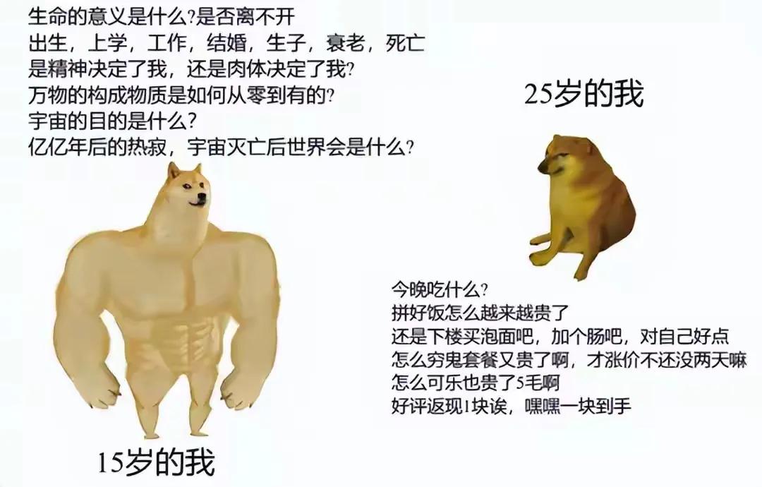 15岁与25岁的区别[捂脸哭]