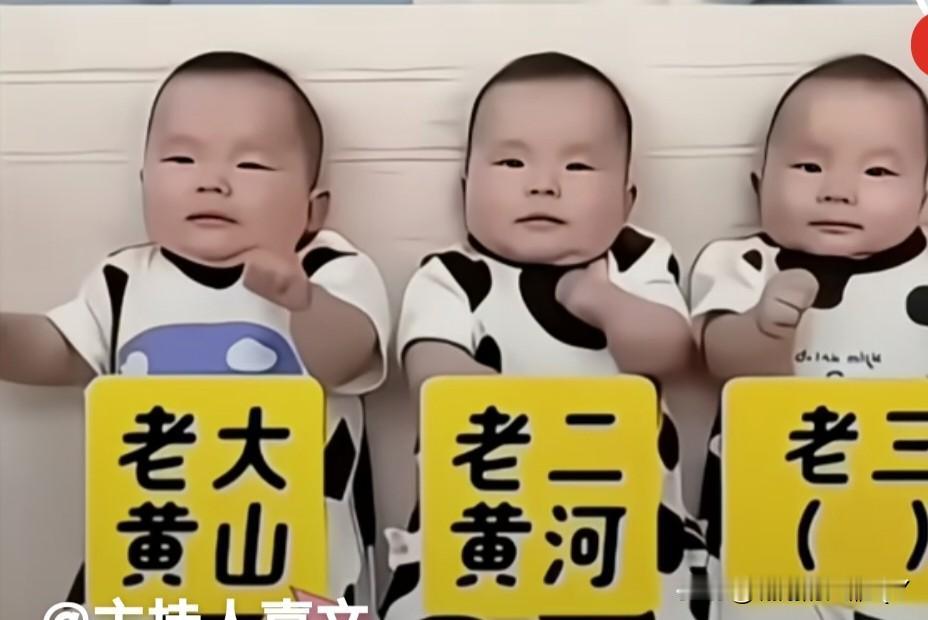 有一对姓黄的夫妻，一口气生了三胞胎，全是带把的小男孩。给娃起名的时候可费了老鼻