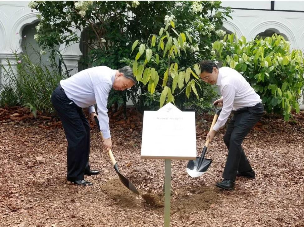 栽树看得见，合作藏在背后！苏林与新加坡总理黄循财在新加坡植物园共同植树。两国