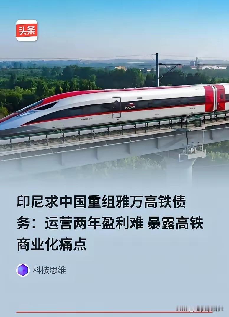 印尼投资部长罗桑提出，希望中国将45.5亿美元贷款的期限从40年延长至50-60