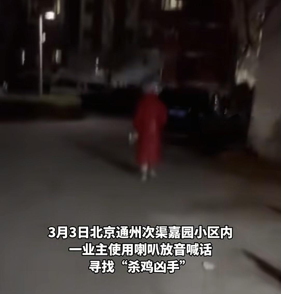 2026年开年最火的两件事是什么？一件是伊朗战争，第二件是北京次渠嘉园杀鸡案。