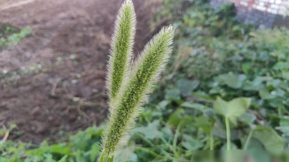 有后妈就有后爸前几天朋友孩子的同事离婚了，这是早就预料之中的事，因为一开始就觉