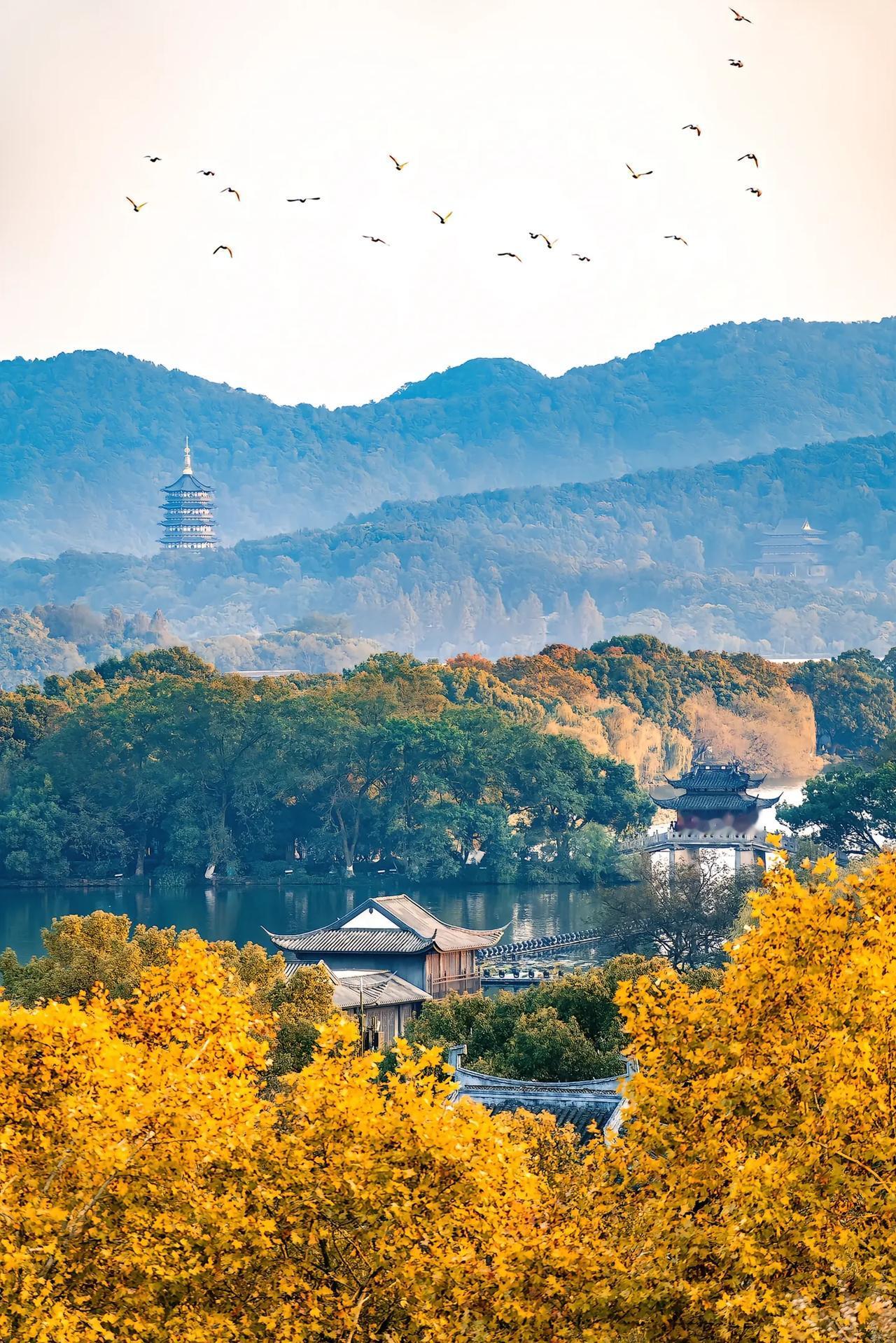 一般在我这边过来咨询的家长，我都劝家长不要补课，因为绝大多数的孩子真的没有必要去