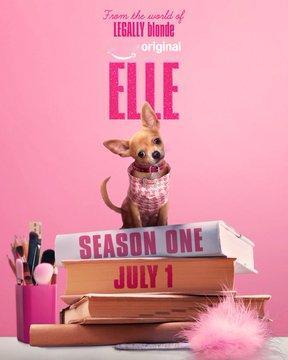 律政俏佳人前传剧《艾丽》已经确定7月1日开播，同时，本剧已经续订第二季了。莱克西