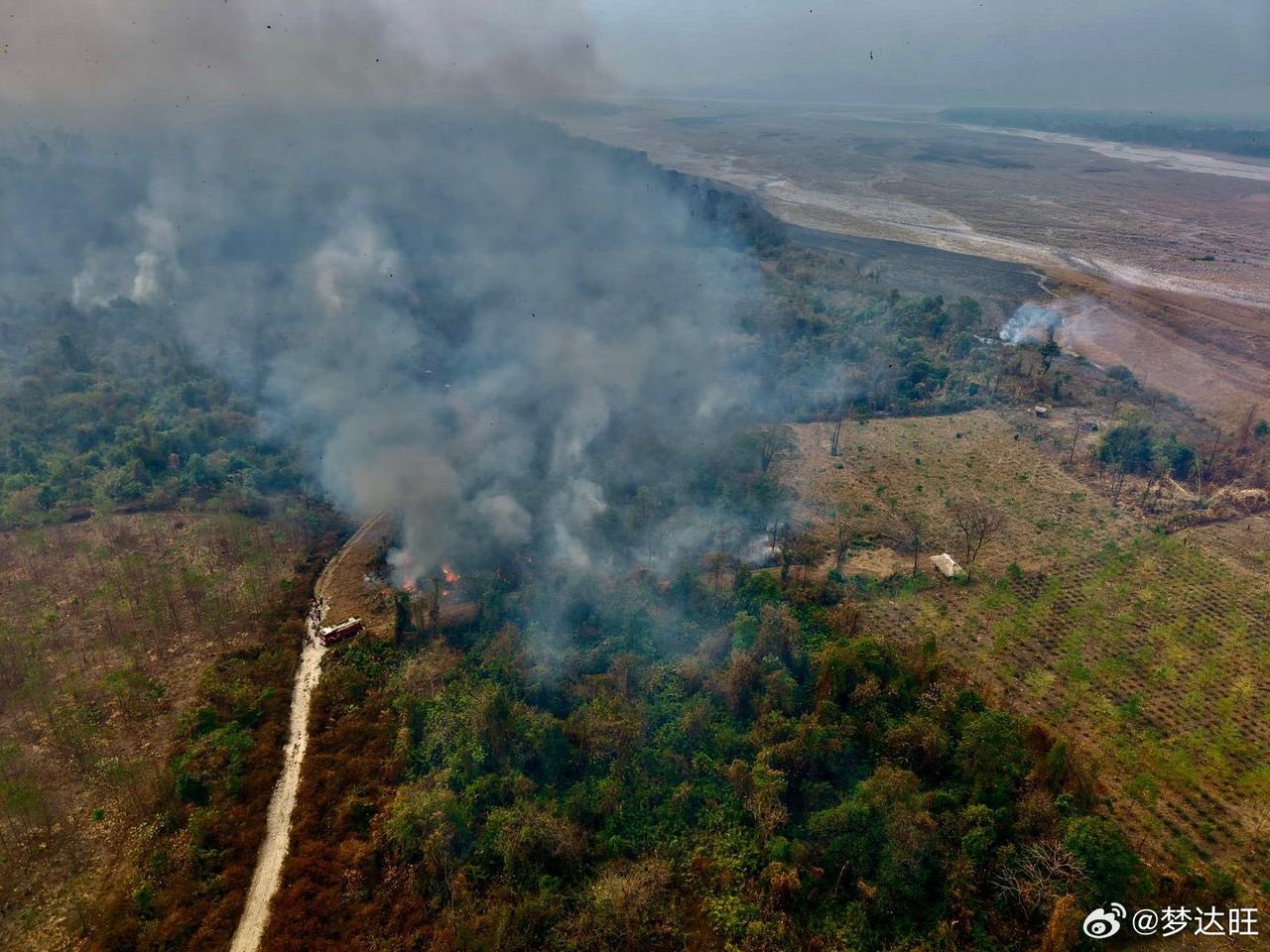 据藏南当地媒体报道，3月7日，位于藏南东思昂地区的印度西加尔军事基地附近的森林