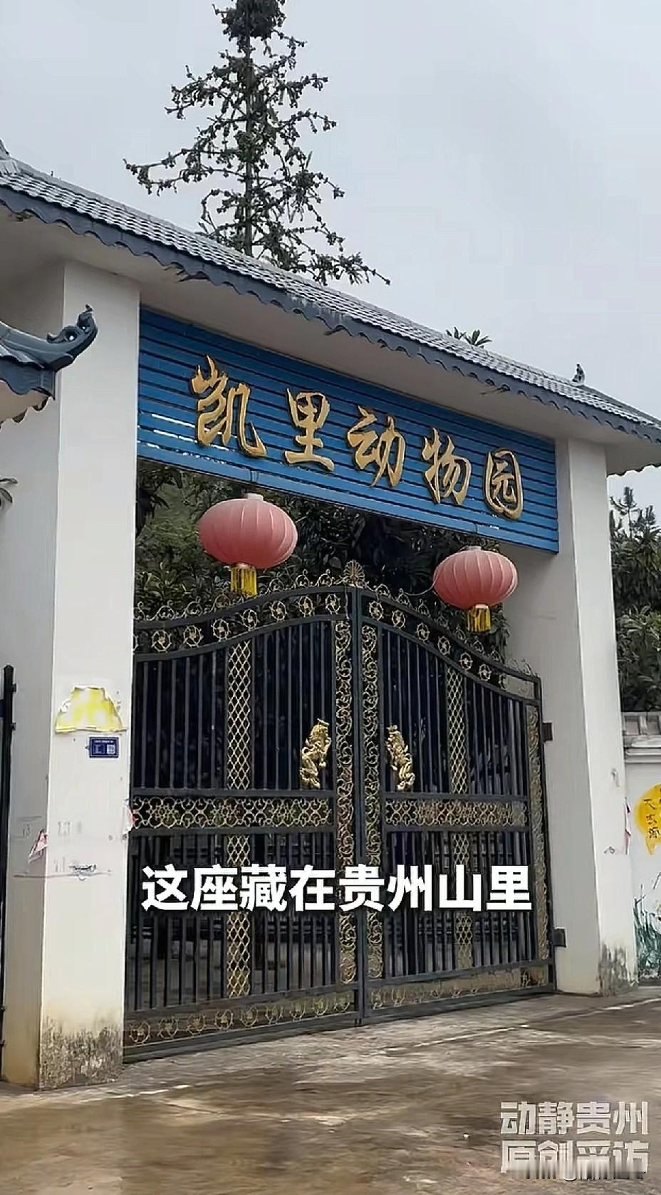 贵州最“寒酸”的动物园!有人调侃他:“老爷子藏的够深,挂着动物园的名义,过着养