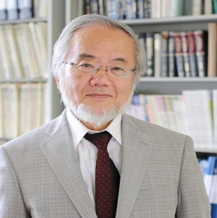 🐰日本生物学家大隅良典，凭什么拿下诺贝尔奖？答案藏在人体挨饿时的一种神奇机