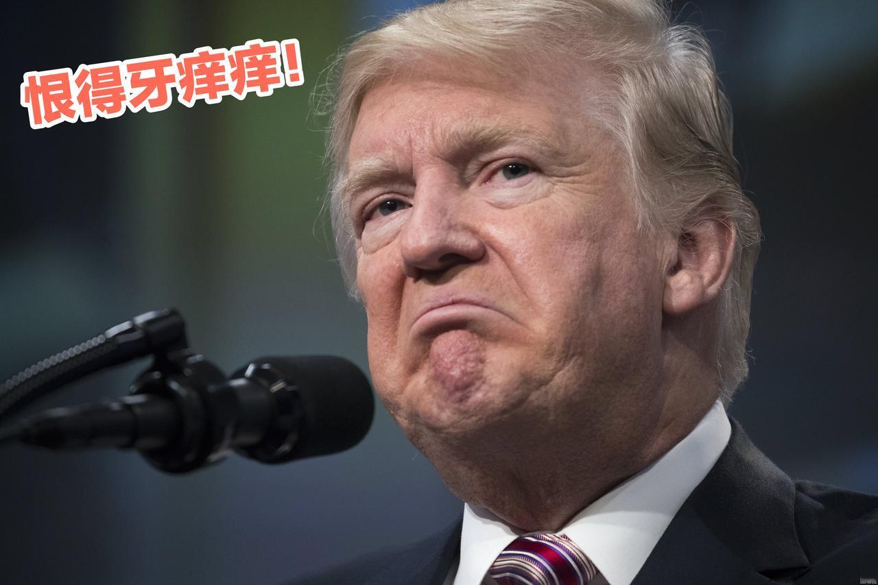 似乎都在担心美国会对东大动武，其实我不怎么看，即便是东大没有现在这么强大，老美也