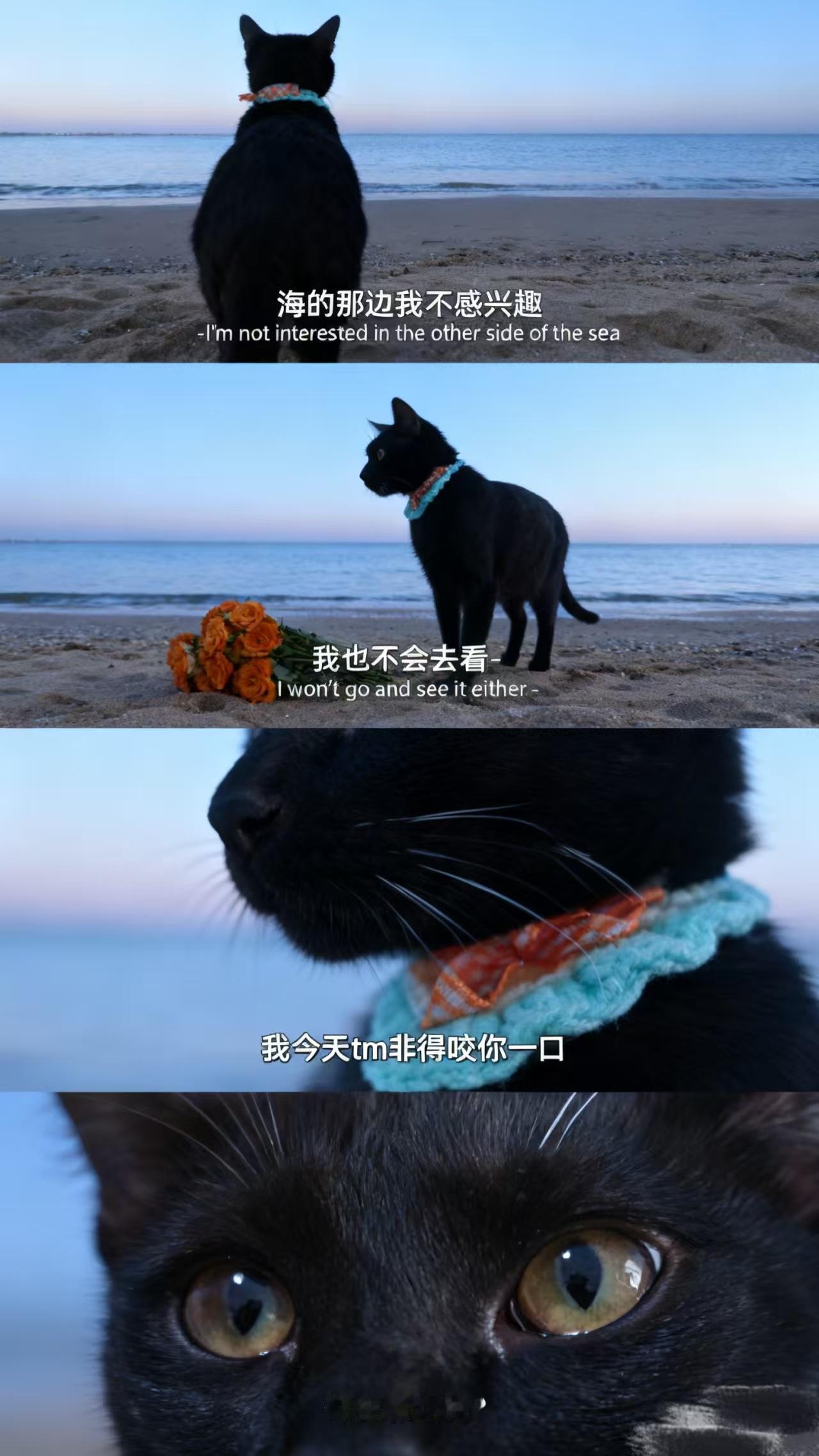 今天早晨，到银行交取暖费。必须交现金，转账扫码都不行，我家住户面积82.1㎡，取