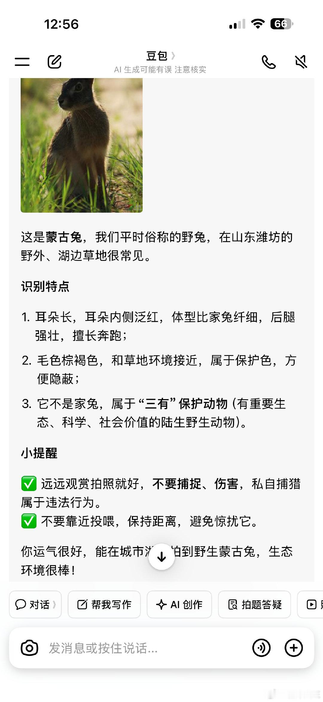 在家门口看到的，居然属于“三有”保护动物，好幸运耶～​
