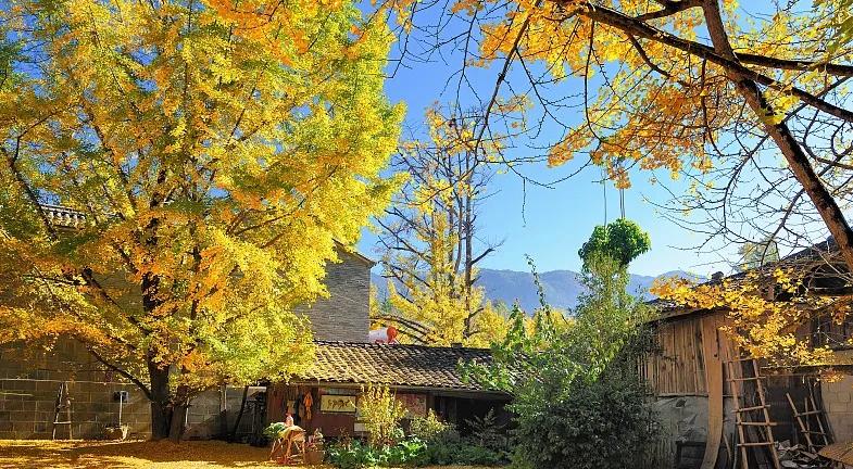 真的有人吃饱了撑的。某女子拆迁后，拿了两套房子，一套出租，一套自住，村里每年还