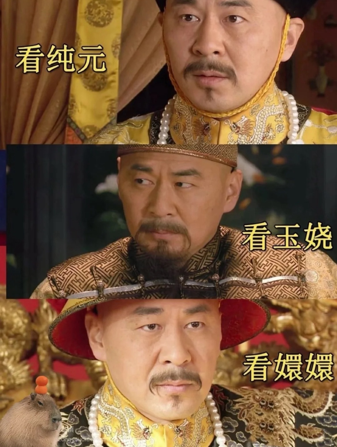 大胖橘的眼睛虽小但戏确实好​​​