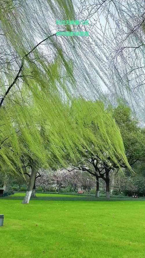 我的创意下联可以是：1、柳线穿风成妙句🤛梅魂浸雪化奇篇‌。2、柳线穿风