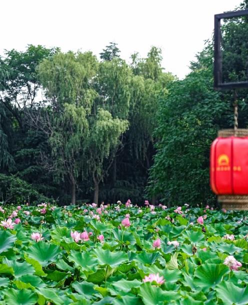 现在最吃香的养老方式，不是保姆，不是养老院，而是花十几块钱，让同楼栋的邻居上门搭