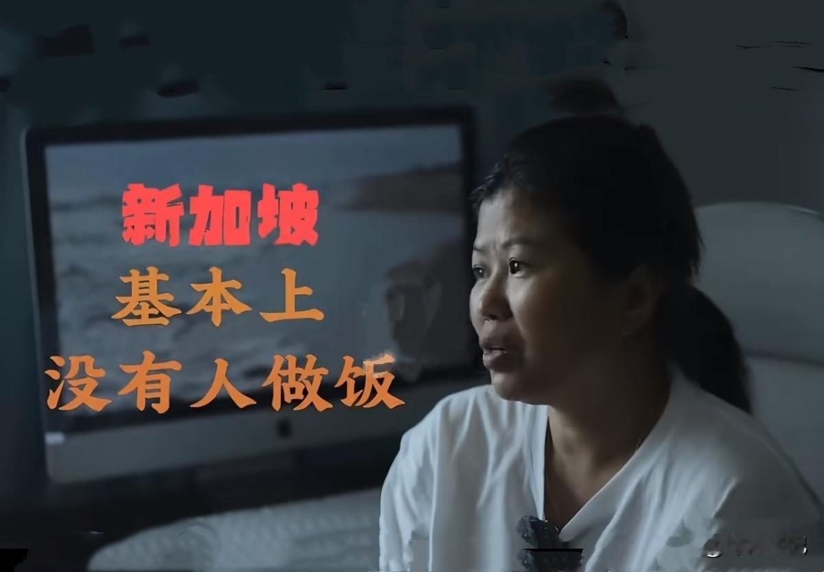 新加坡这操作，真把我看愣了。家庭厨房基本上是没有排烟道，抽油烟机不往外排烟，只能