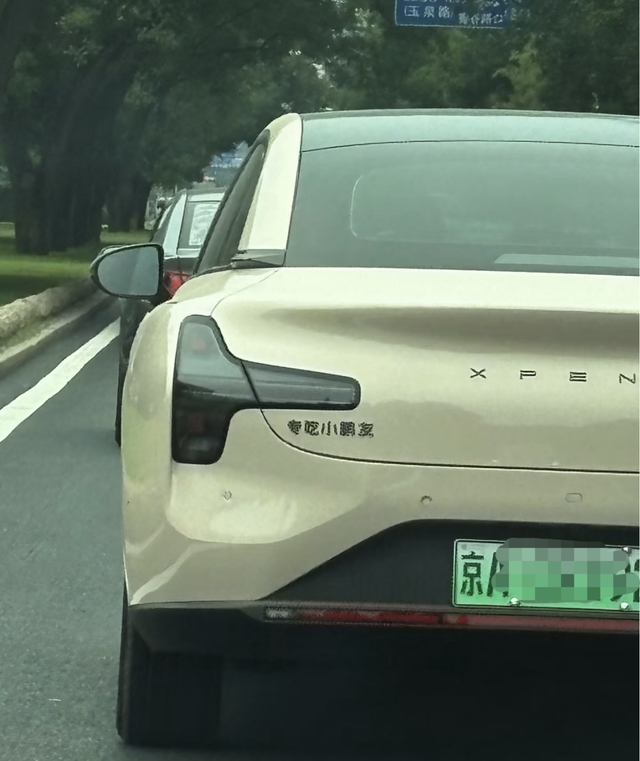 小鹏友不好吃换个口味好不好还是和小鹏友一桌比较好，小鹏友最开心了，怀念小鹏友的