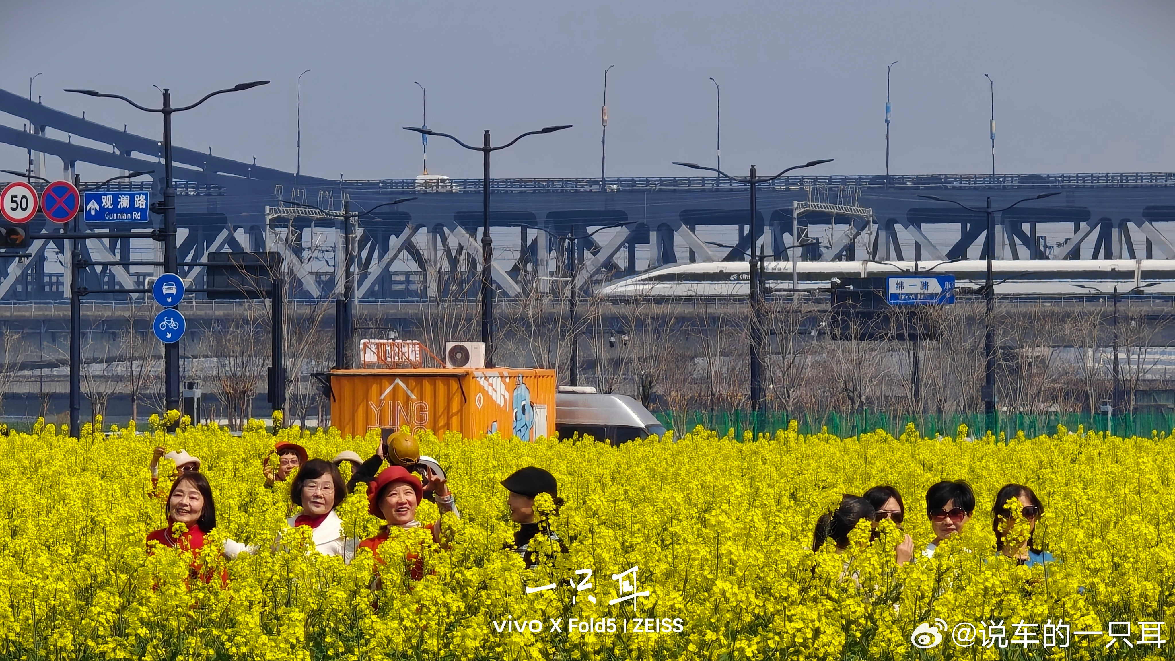 高铁、大妈、油菜花
