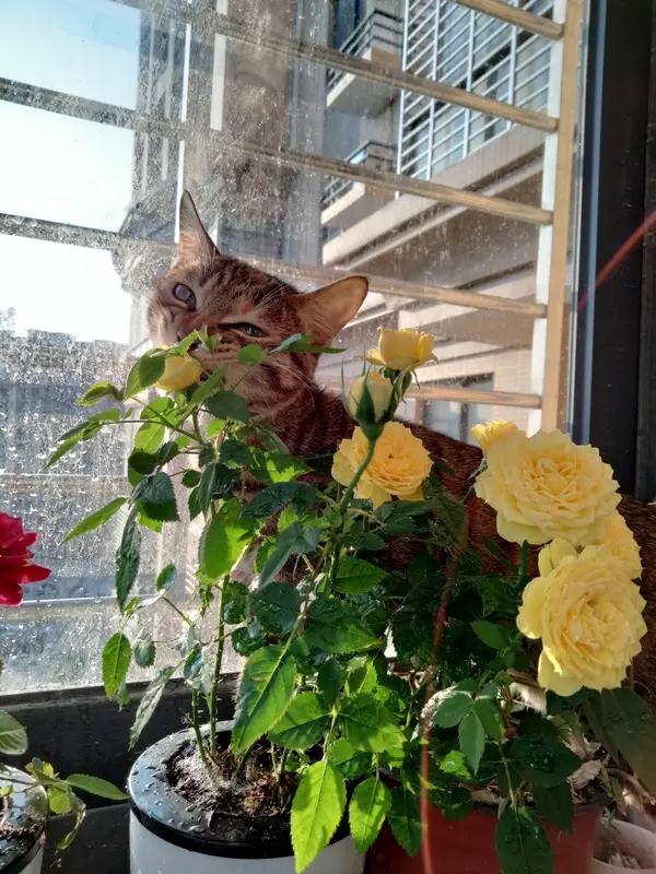 一个女人过得好不好，看看她嫉妒心的强弱便知端倪。真正过得惬意的女人，不会心生嫉