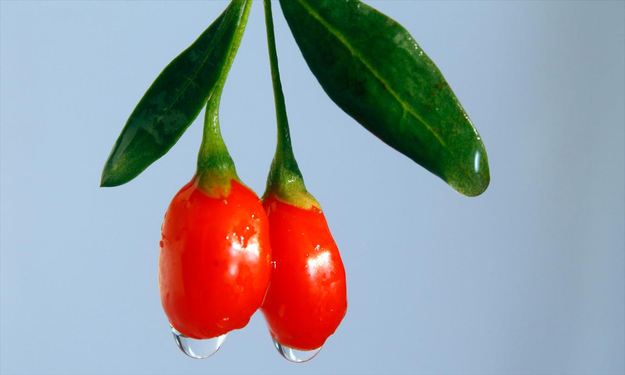 枸杞子泡水究竟有何好处别只泡水！枸杞这样吃，效果翻倍还不上火都说枸杞养生